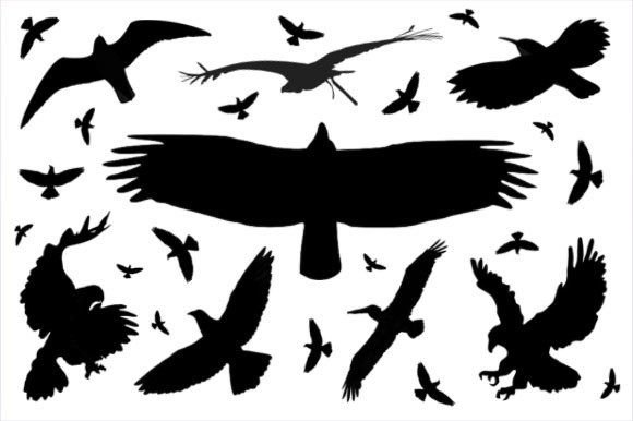 Elevating Digital Artistry: The Strategic Value of the Set of 8 Bird Photoshop Brushes in Modern Design Workflows