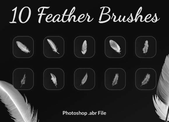 Evaluating Feather Brushes Photoshop for Digital Art and Design